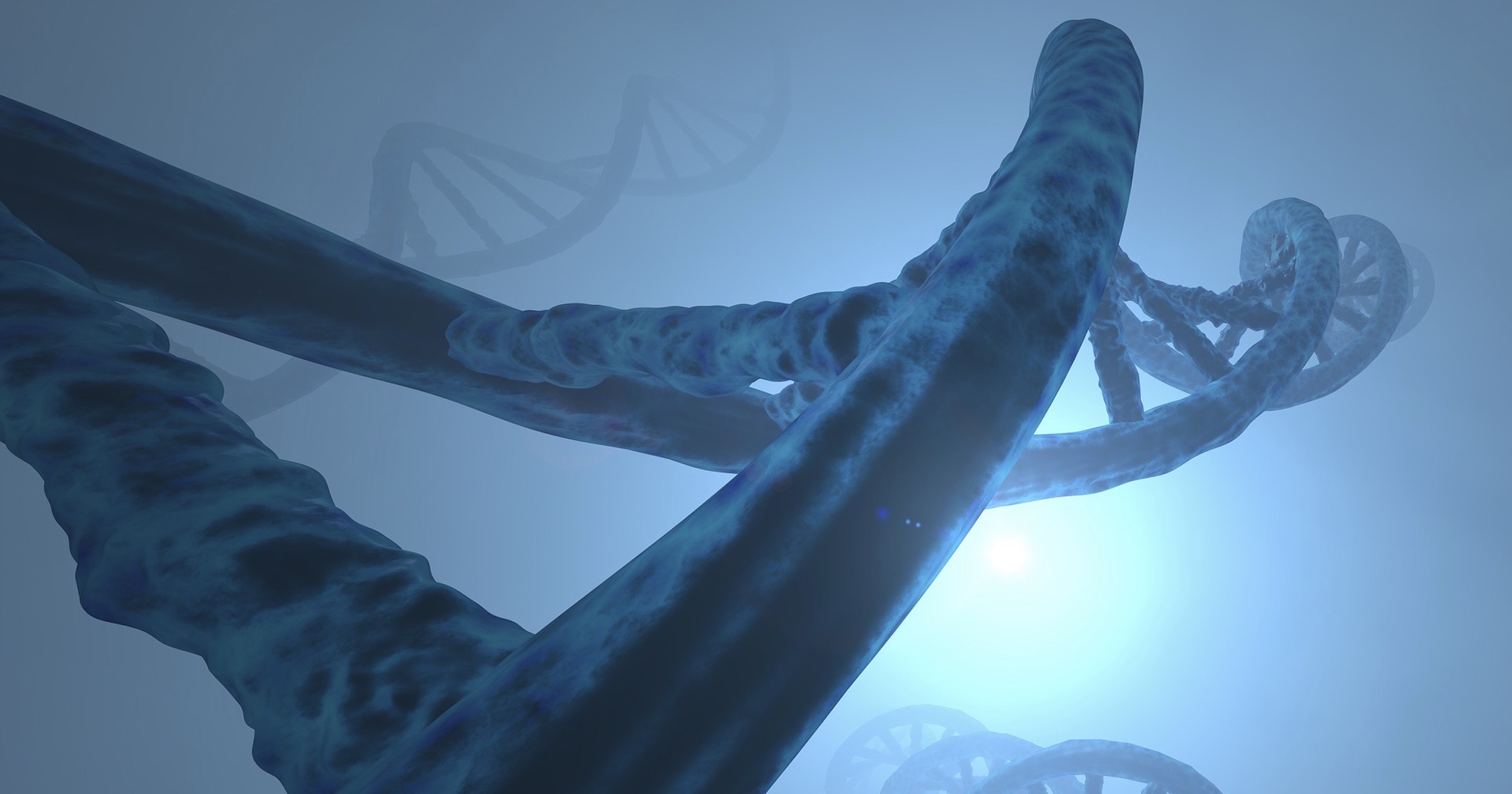DNA