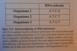 Fig3-6