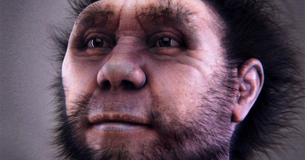 Homo-erectus