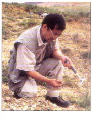 Ju Chen