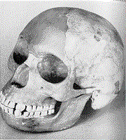 Piltdown-man