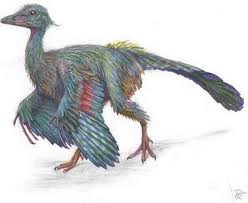 'urfugl'