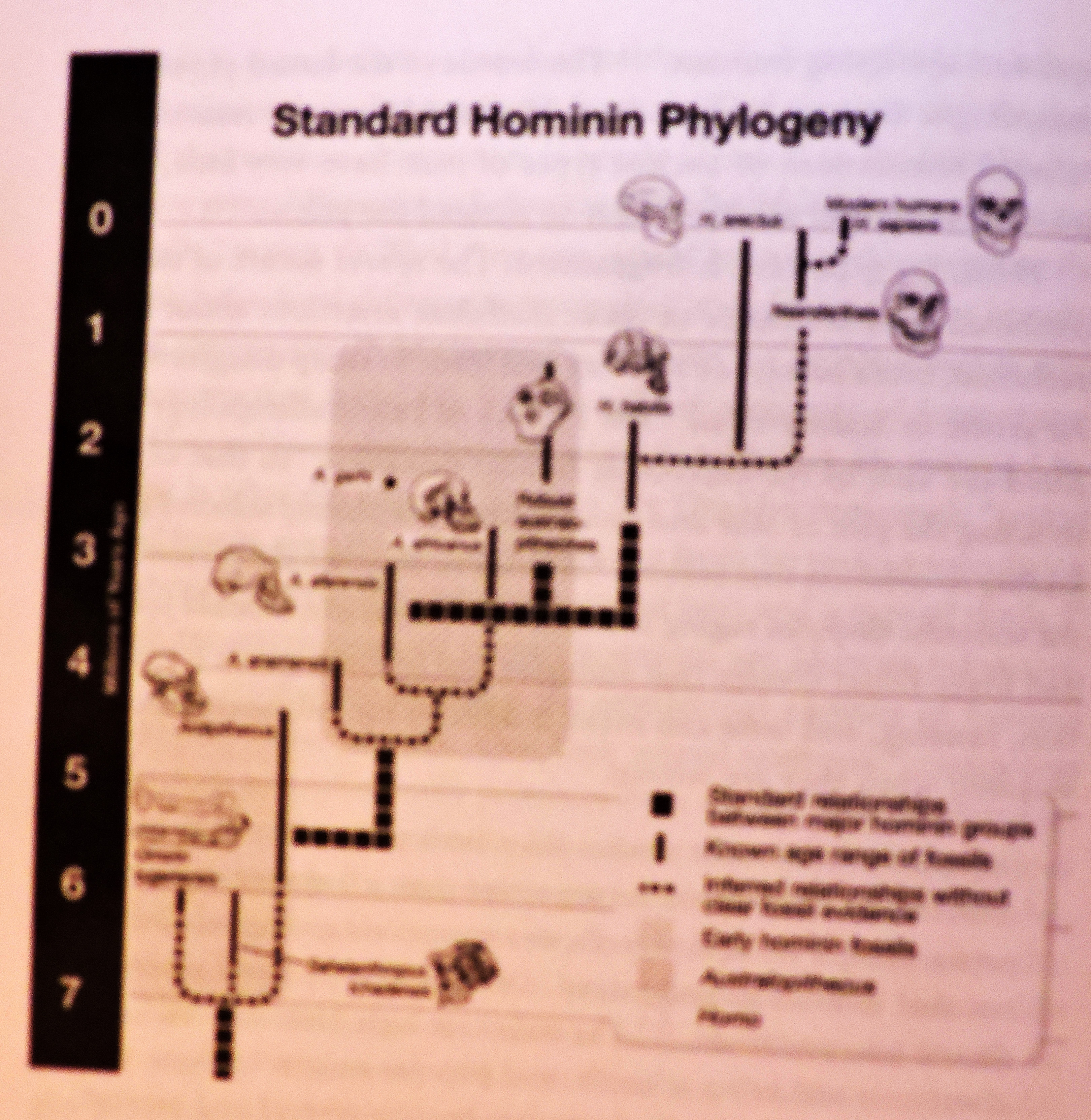 Standard visdom
