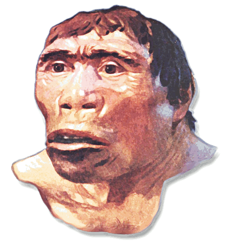 Java-mannen