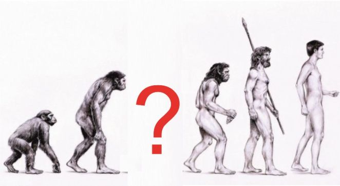 Missing-link