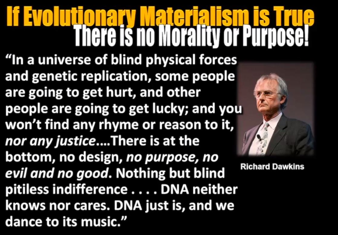 Konsekvens av Dawkins syn