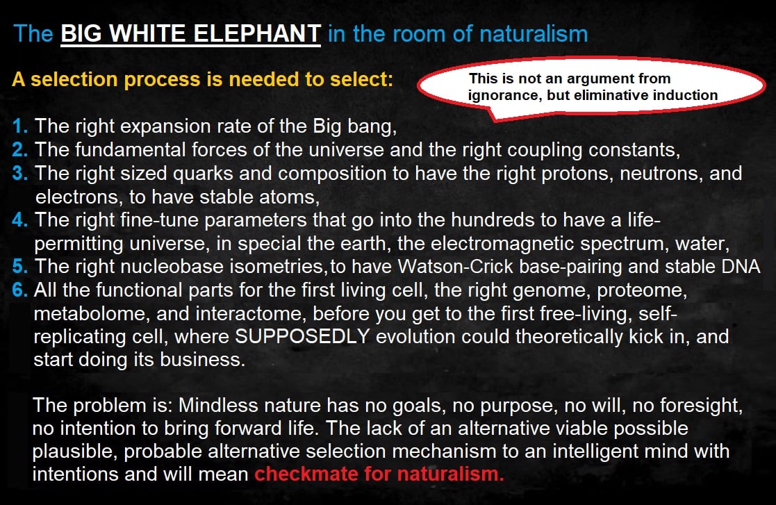 Opprinnelse-seleksjon