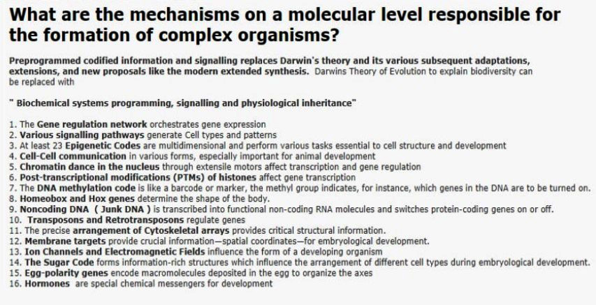 Modell for komplekse mekanismer