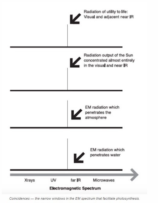 Fininnstilt-atmosfaere