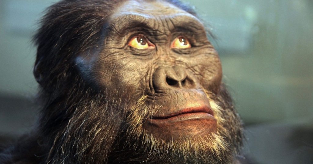 Austrr-afarensis