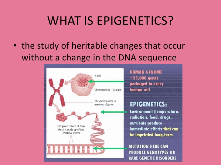 Epigenetikk