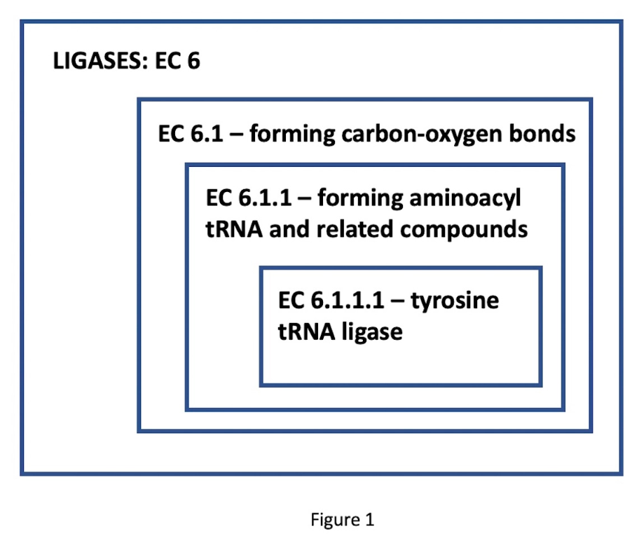 Ligaser