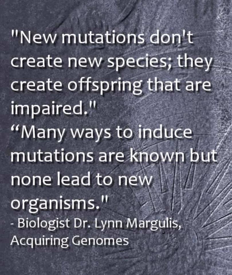Margulis mutasjoner