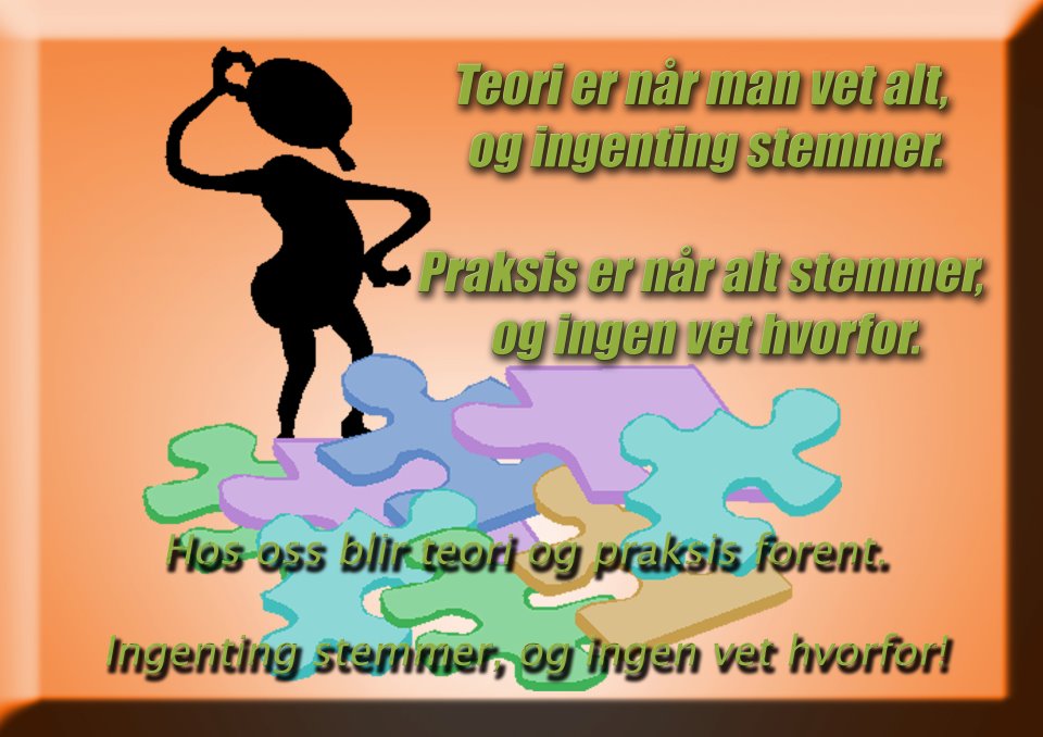 Teori-praksis