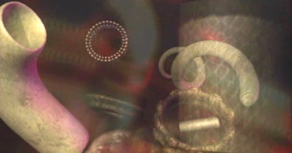 bakterie-flagell-deler