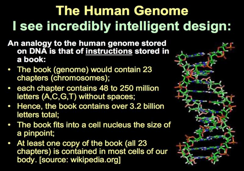 human-genome