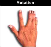 mutasjon