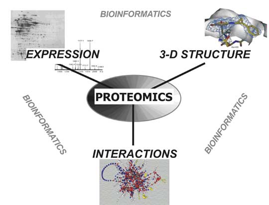proteomics